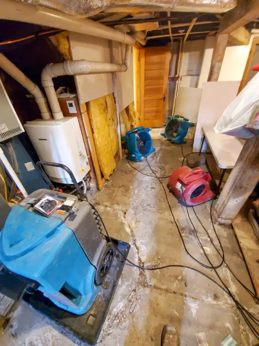 Experienced Water Damage Cleanup Glenarden, MD Experienced Water Damage Cleanup Glenarden, MD