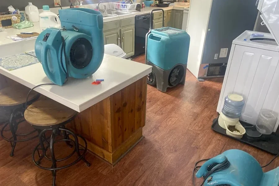 Reliable Water Damage Repair Glenarden, MD Reliable Water Damage Repair Glenarden, MD