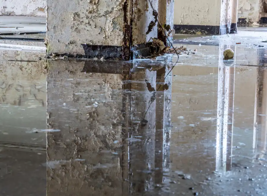 What Happens If Water Damage Is Left Untreated Glenarden, MD